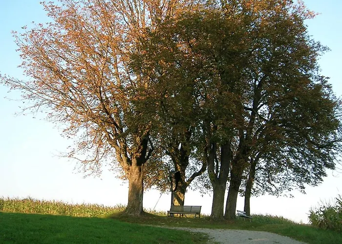 Mesnerhof Bayerbach